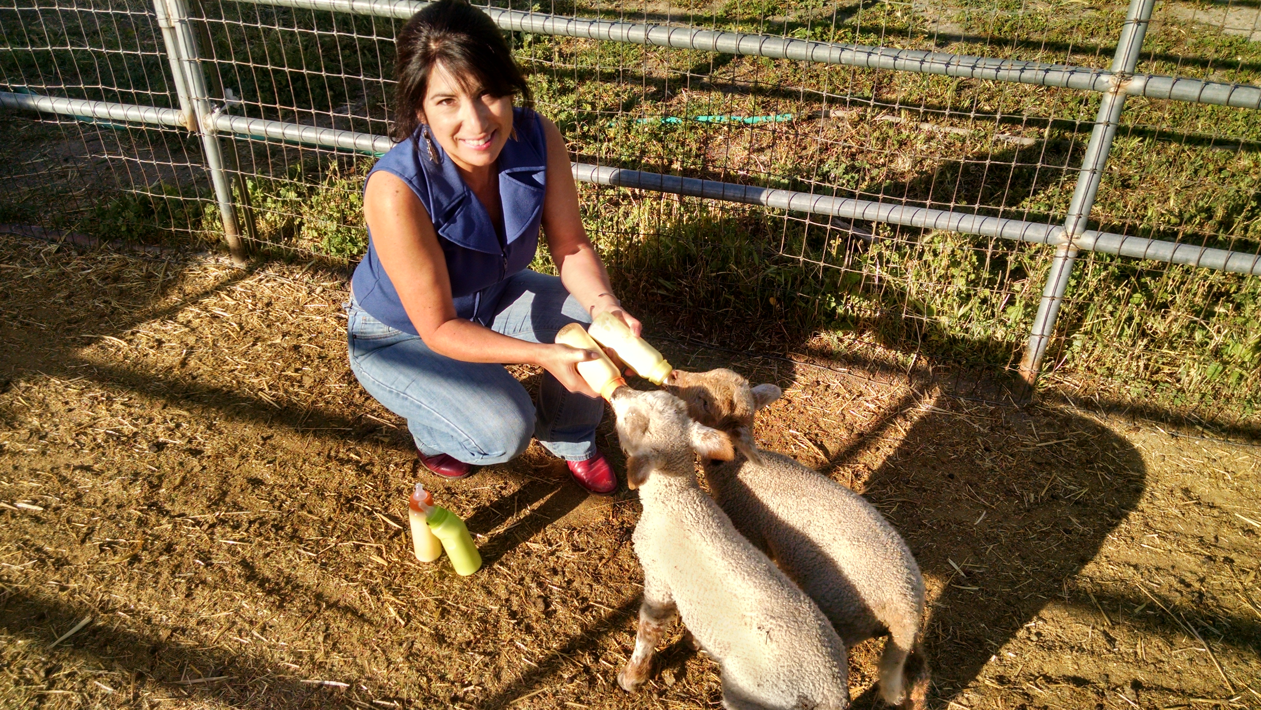 Sheri with lambs